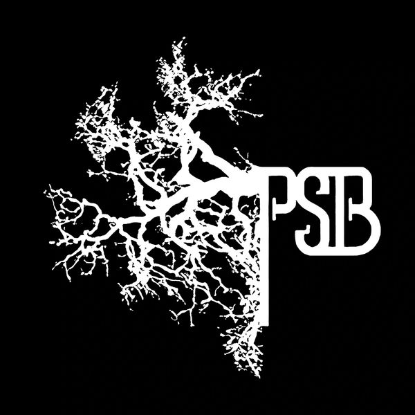 White tree branches forming "PSB" on black.