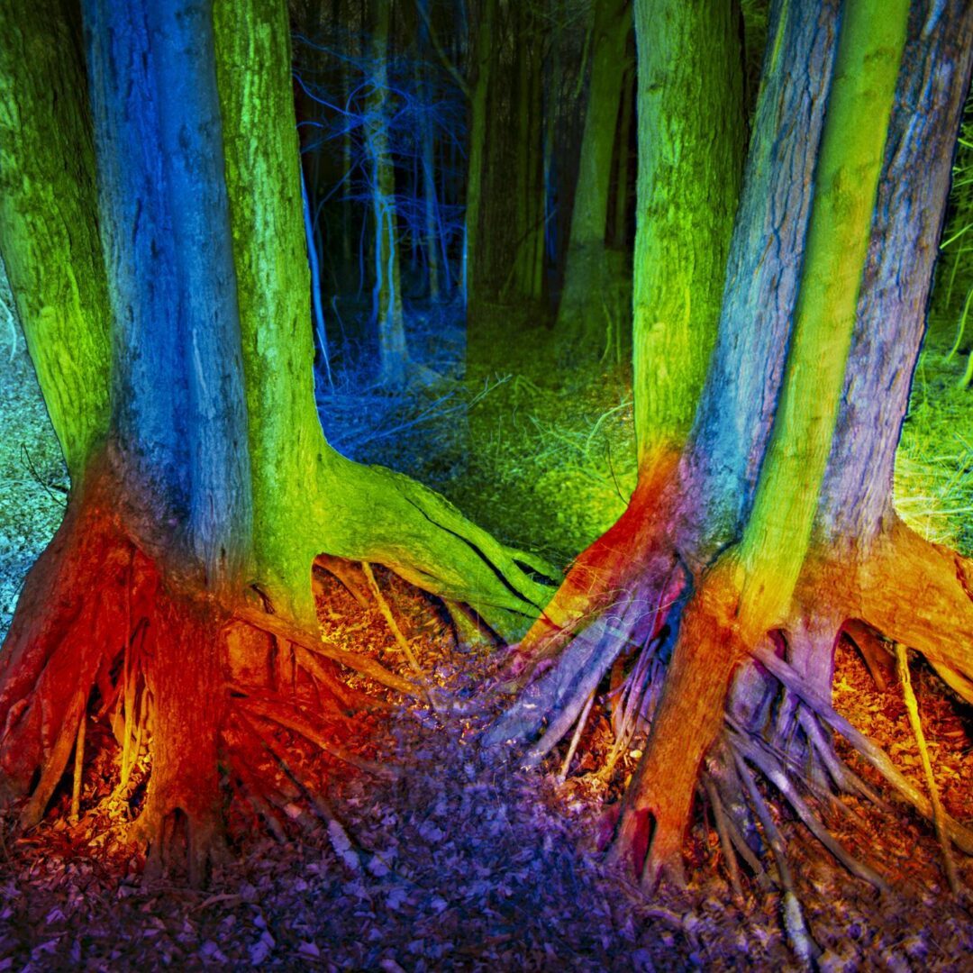 Into The Woods